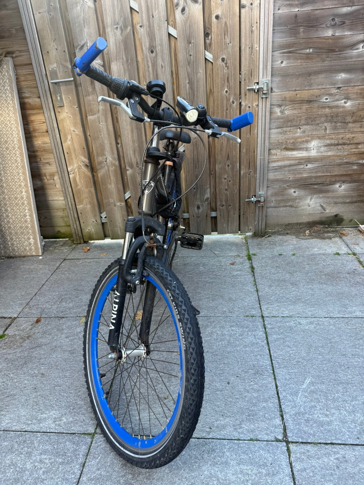 Alpina trial 24 inch 3 versnellingen, Ophalen, Velgrem, Versnellingen, Gebruikt