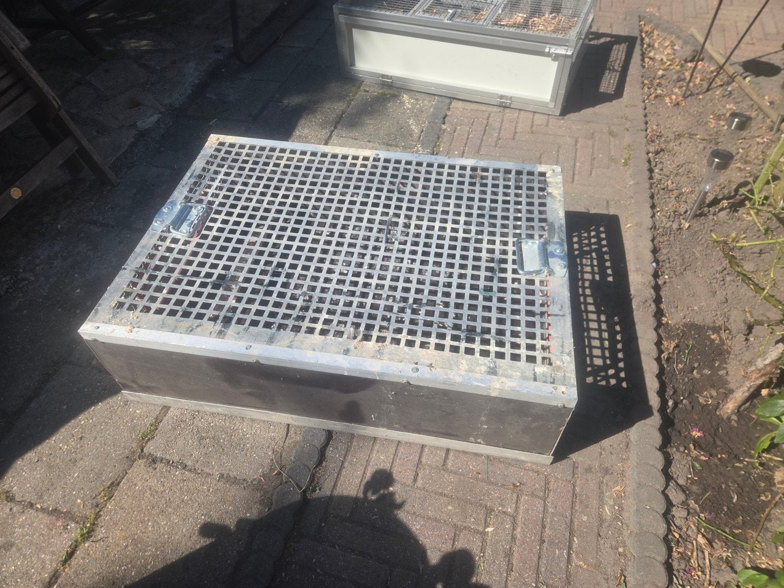 aluminium/houten duiven mand, Mannelijk, Postduif
