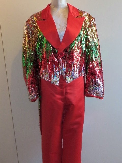 Te koop aangeboden: slipjas met pantalon en glitterhoed. , Maat 52/54 (L), Carnaval, Nieuw, Ophalen of Verzenden