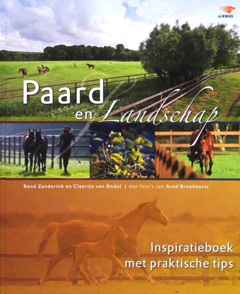 Paard en Landschap - René Zanderink / 9789059562790, René Zanderink, Ophalen of Verzenden, Zo goed als nieuw, Paarden of Pony's