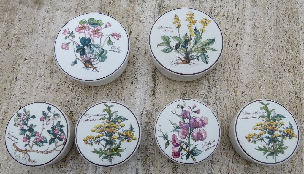 BOTANICA Villeroy & Boch Mokken Deksel Dozen + Kommen K + S, Huis en Inrichting, Keuken | Servies, Villeroy & Boch, Nieuw, Ophalen of Verzenden