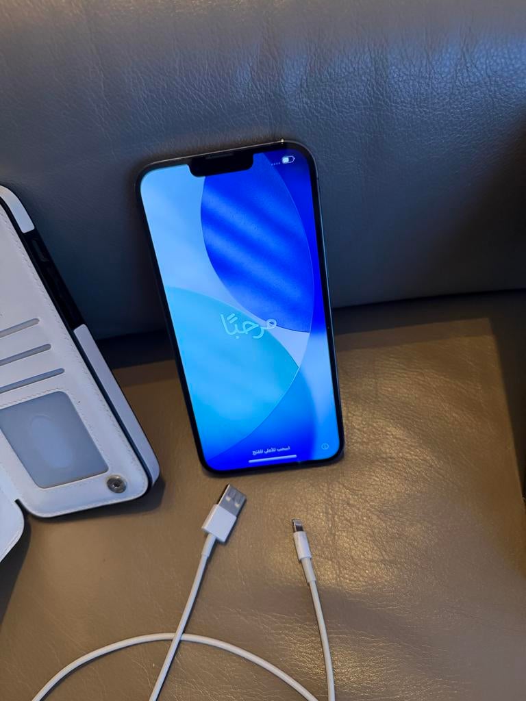 iPhone 13 Pro Max Graphite 256GB + hoes, Telecommunicatie, Mobiele telefoons | Apple iPhone, Gebruikt, IPhone 13 Pro Max, Grijs