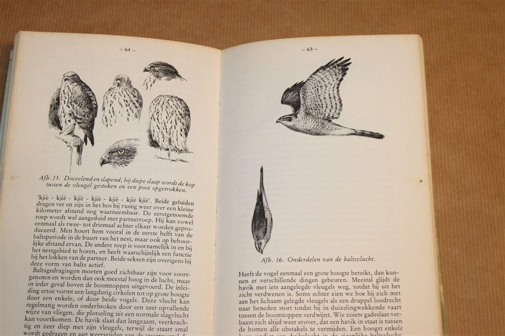 De Havik — Paul Opdam [Dieren Dichterbij - Gebonden], Boeken, Dieren en Huisdieren, Ophalen of Verzenden, Gelezen, Katten
