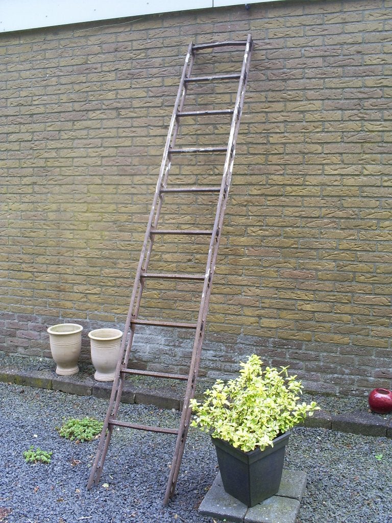 Oude ijzeren Bozo Ladder, Ophalen of Verzenden