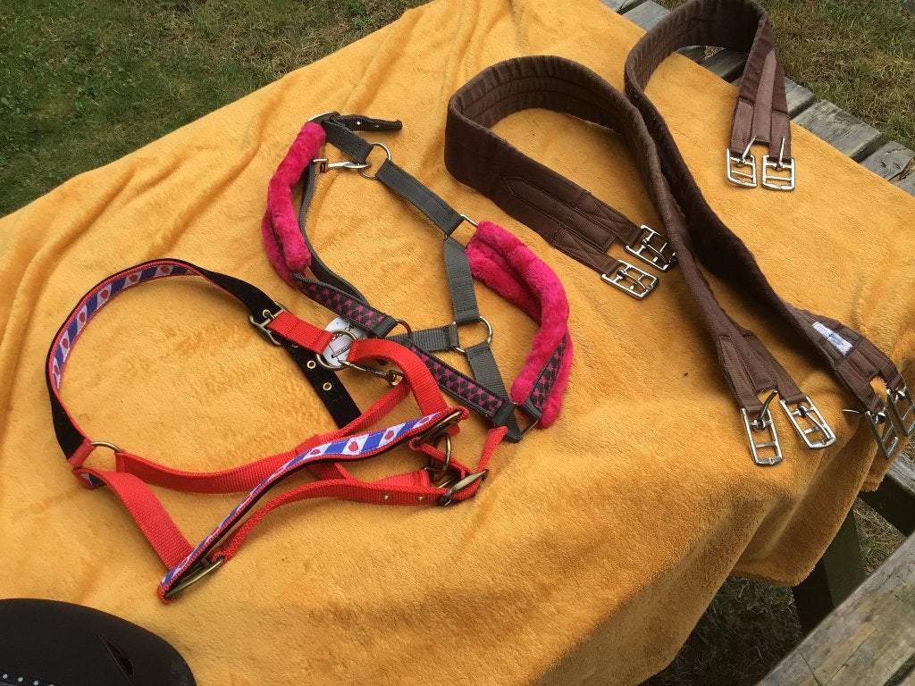 Paarden spullen, Dieren en Toebehoren, Paarden en Pony's | Overige Paardenspullen, Ophalen, Gebruikt, Dressuur