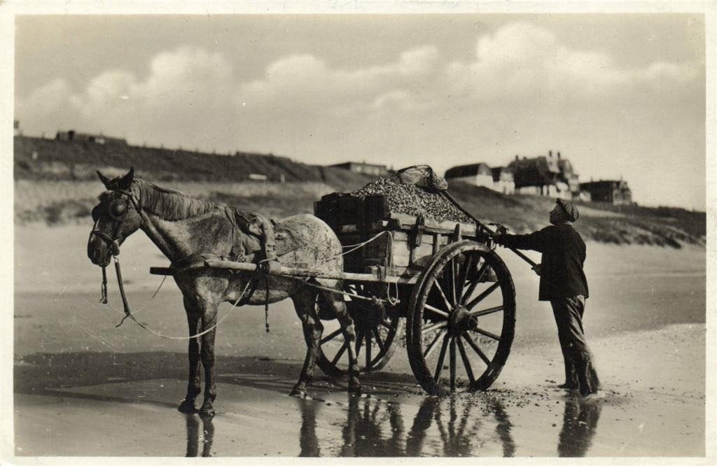 Badplaats - Noordwijk. - paard kar - 1933 gelopen, Verzenden, 1920 tot 1940, Gelopen, Zuid-Holland