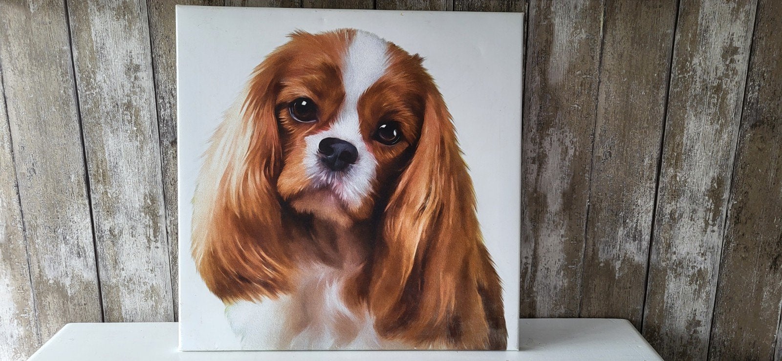 schilderij fotoprint hond, Verzenden, 50 tot 75 cm, Print