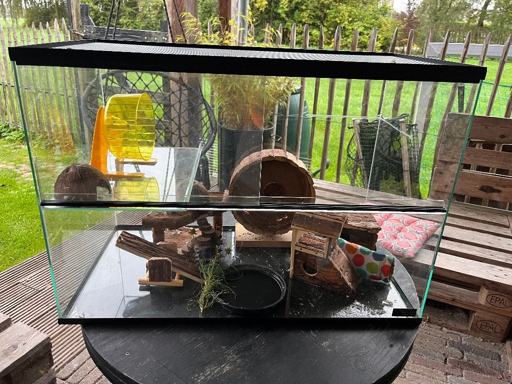 Hamsterkooi /  terrarium zeer netjes van glas, Kooi, Zo goed als nieuw, Ophalen, Minder dan 60 cm