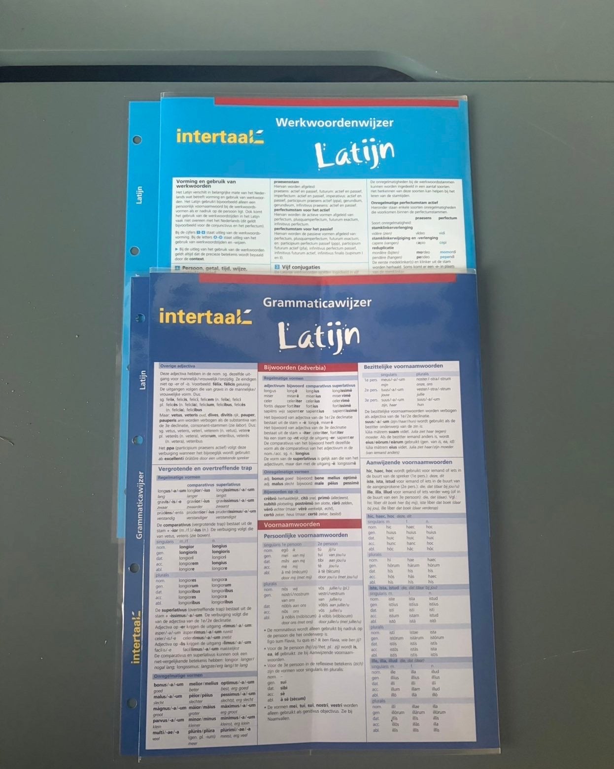 Intertaal Latijn Grammaticawijzer & Werkwoordenwijzer, Ophalen of Verzenden, Zo goed als nieuw, Non-fictie