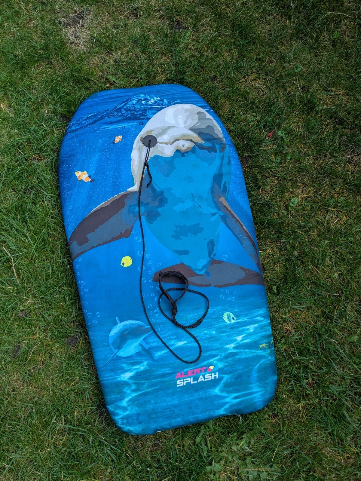 Bodyboard, Ophalen, Zo goed als nieuw, Overige typen