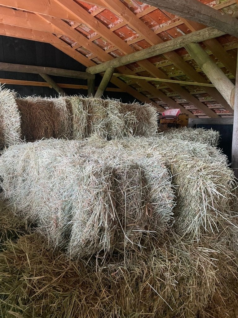 Kleine pakjes hooi, Dieren en Toebehoren, Dierenvoeding, Ophalen, Vee