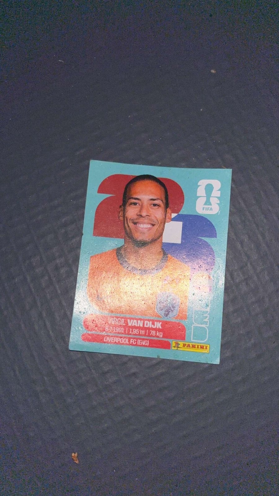 Virgel van dijk panini, Ophalen of Verzenden, Zo goed als nieuw, Plaatje