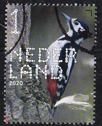BDN – Bos- en heidevogels – bonte specht –gebruikt–NVPH 3868, Verzenden, Na 1940, Gestempeld