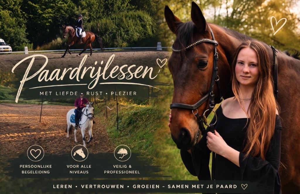Paardrijles & meer, Dieren en Toebehoren, Paarden en Pony's | Overige Paardenspullen, Ophalen of Verzenden, Nieuw, Dressuur