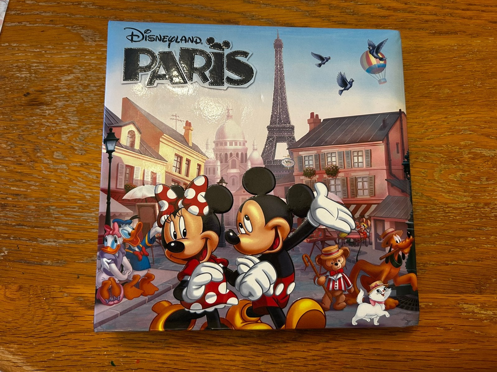 Disneyland Parijs foto album, Ophalen of Verzenden, Gebruikt