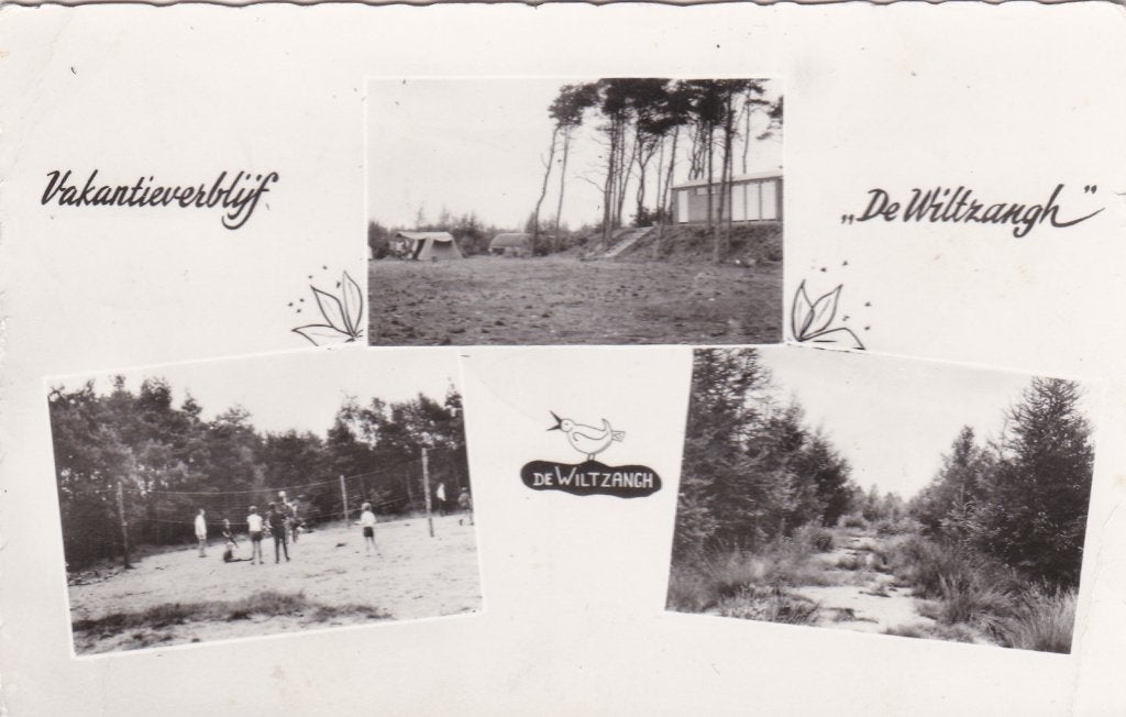 18896 Vakantieverblijf De Wiltzangh Ruinen 1965Echten Pesse, Ophalen of Verzenden, 1960 tot 1980, Gelopen, Drenthe