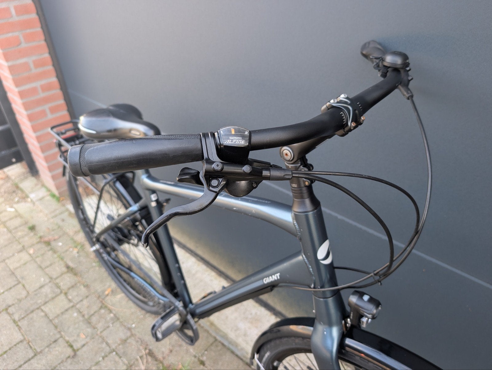Giant Anytour belt met Alfine 8 naaf en hydraulische schijfr, 53 tot 57 cm, Ophalen, Schijfrem, Giant