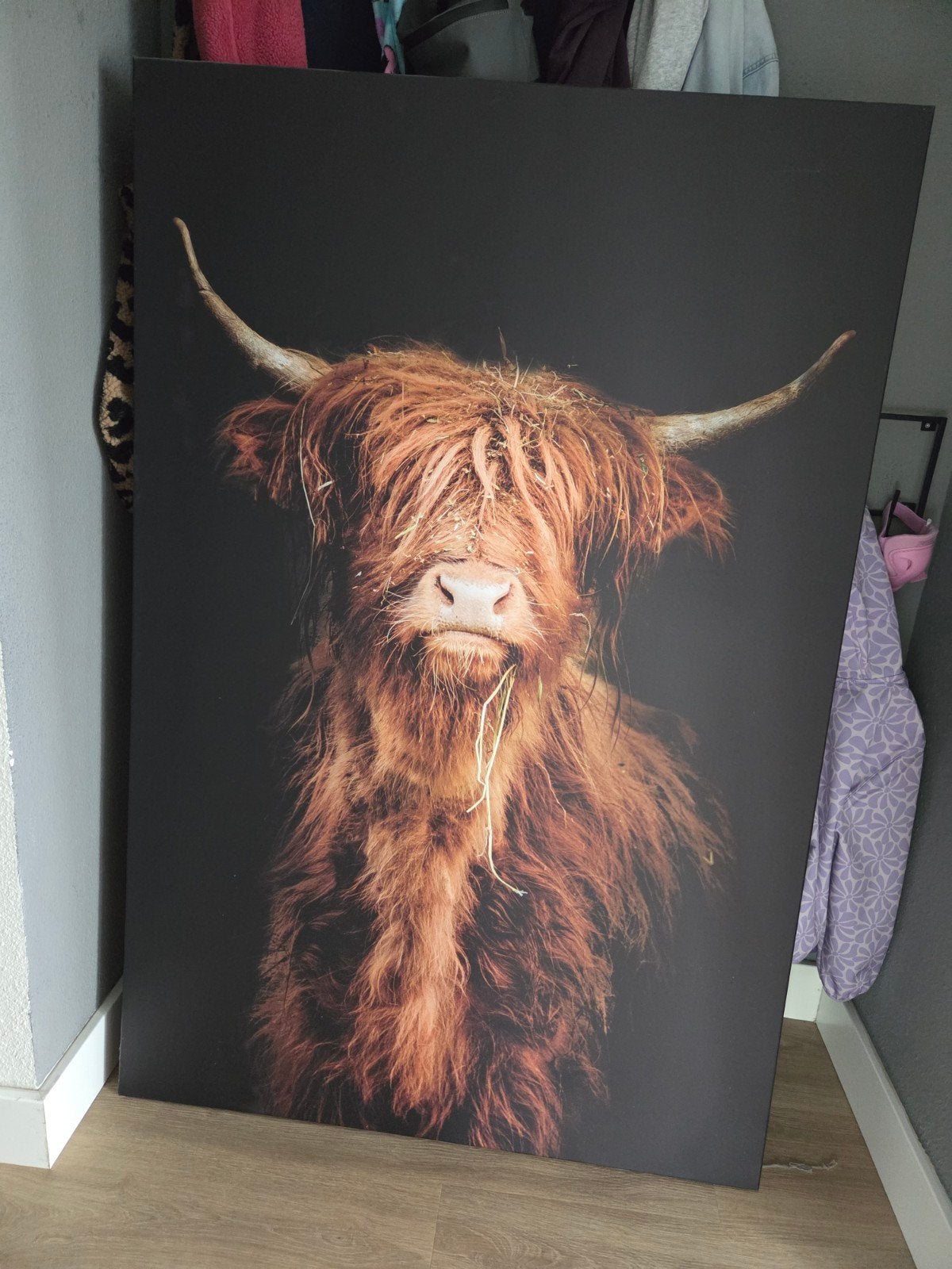 Canvas doek Schotse Hooglander 150x100 cm, Huis en Inrichting, Woonaccessoires | Schilderijen, Tekeningen en Foto's, Gebruikt