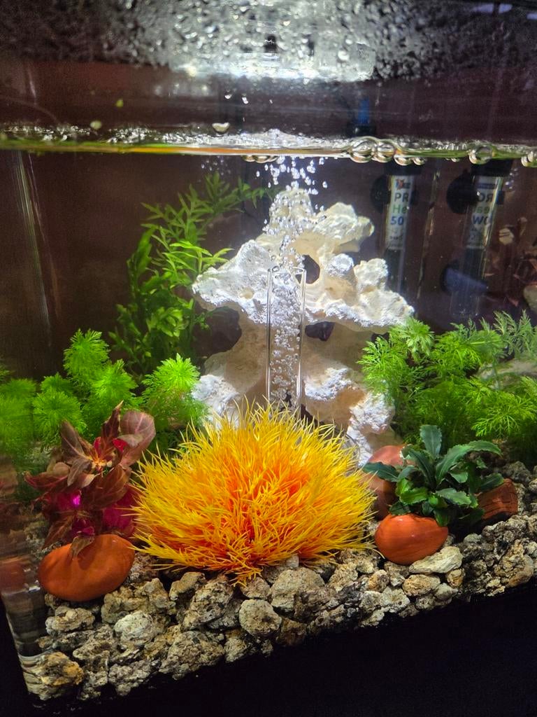 Nieuw Biorb Cube 30L Aquarium met bon 1,5 week oud, Dieren en Toebehoren, Vissen | Aquaria en Toebehoren, Ophalen of Verzenden