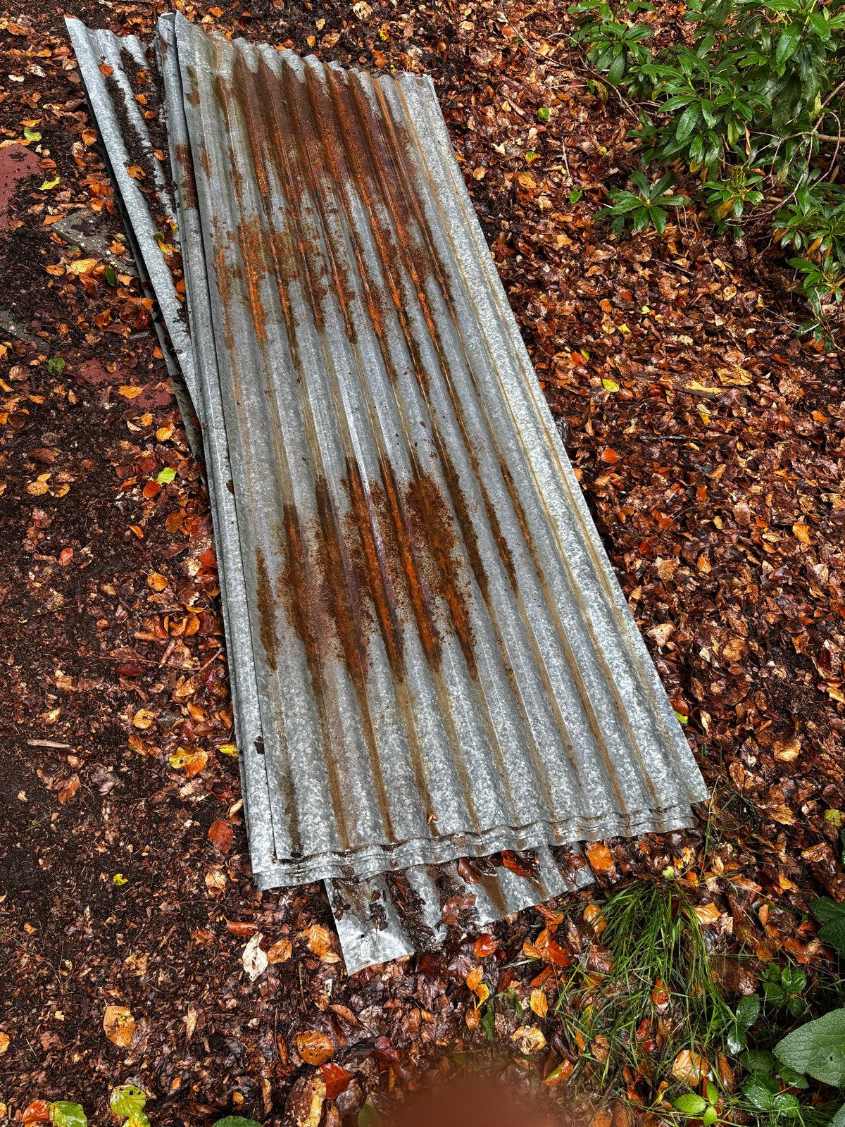 Gecorrodeerde (8 stuks) golfplaten voor dak of wand, Ophalen, Gebruikt, 15 m² of meer, Golfplaat