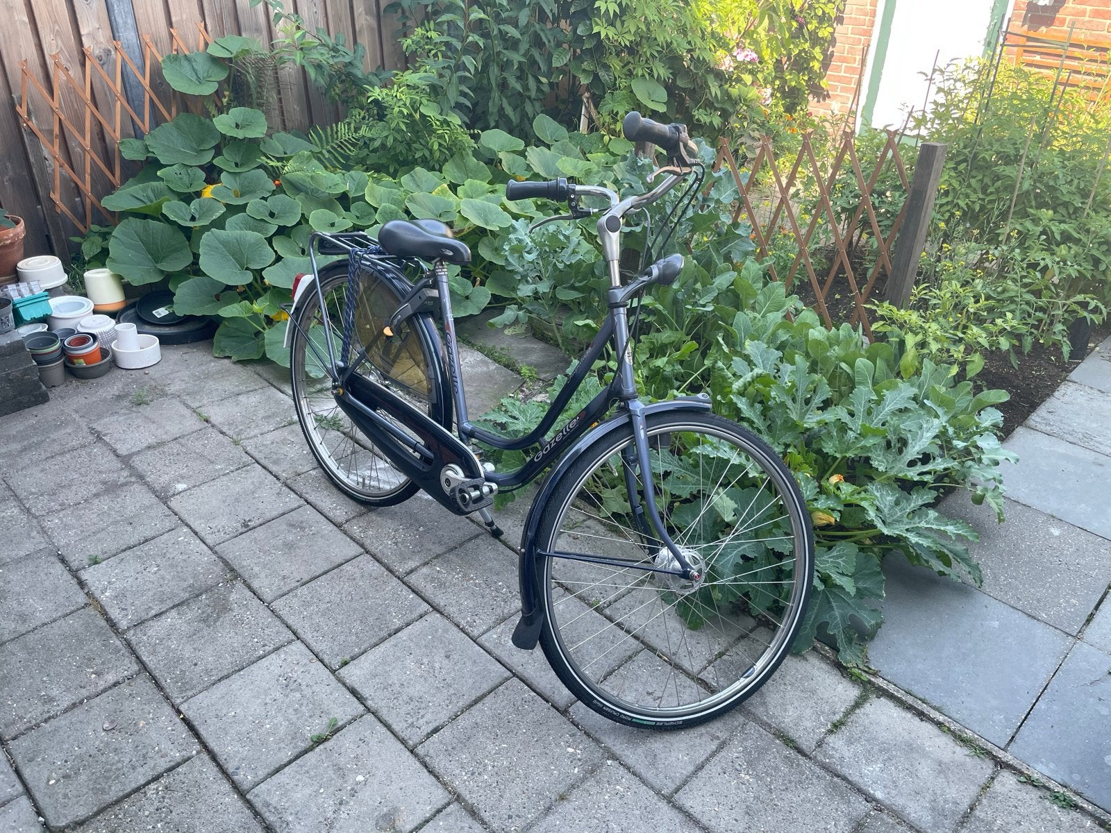 Gazelle Impala Damesfiets - Nexus 7 - Framemaat 54, Fietsen en Brommers, Fietsen | Dames | Damesfietsen, Ophalen, 53 tot 56 cm