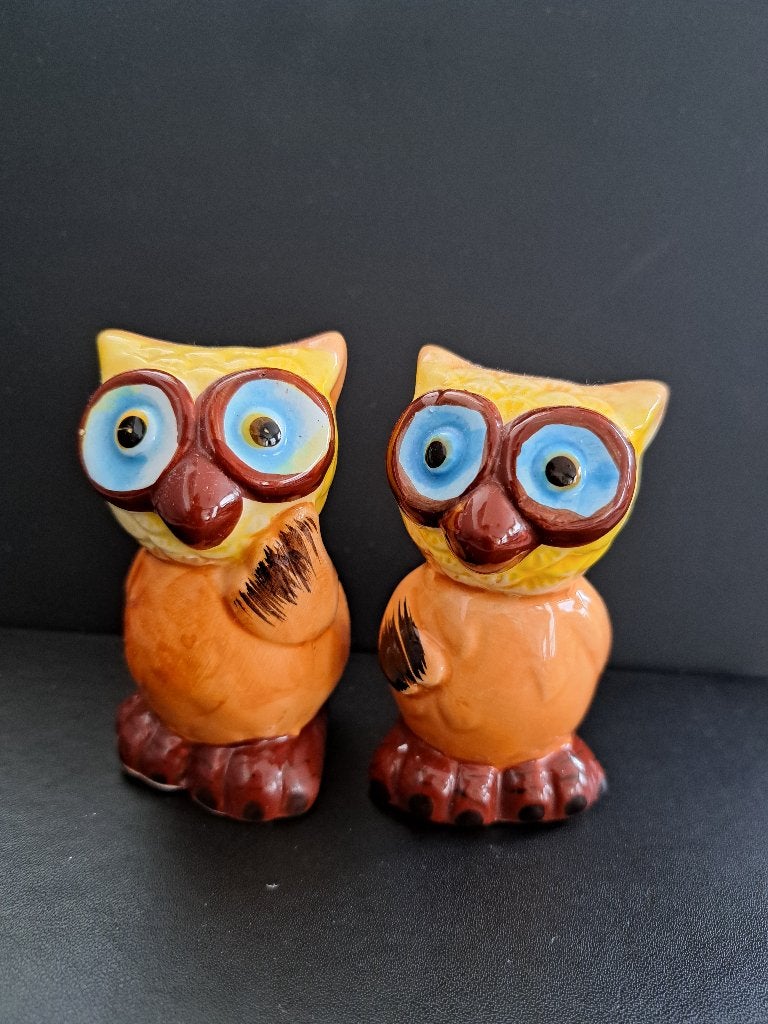 Zout peper uilen, Ophalen of Verzenden, Zo goed als nieuw, Dier