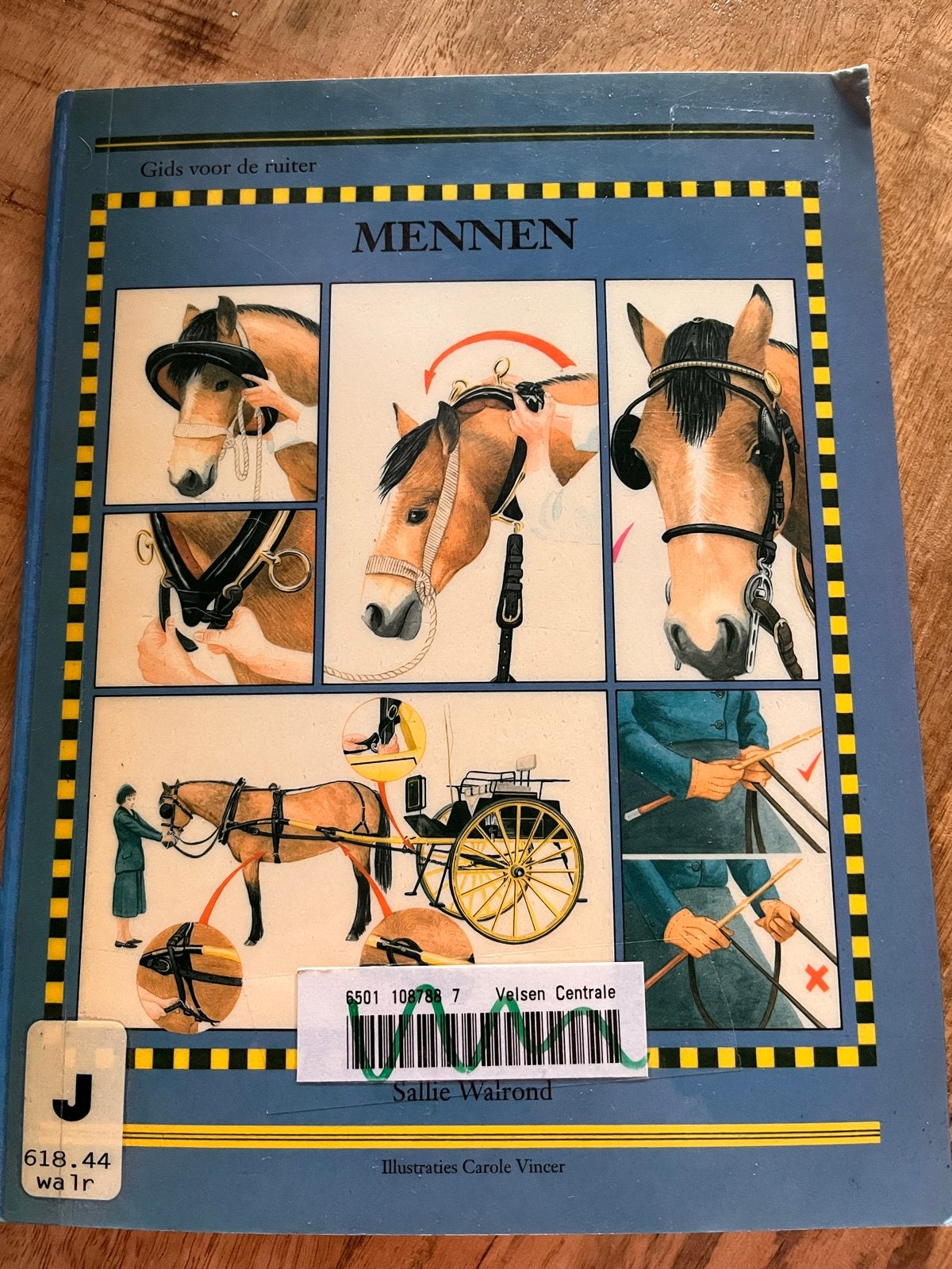 Gids voor de ruiter: MENNEN - Paardensport Boek, Ophalen of Verzenden, Gelezen, Overige sporten