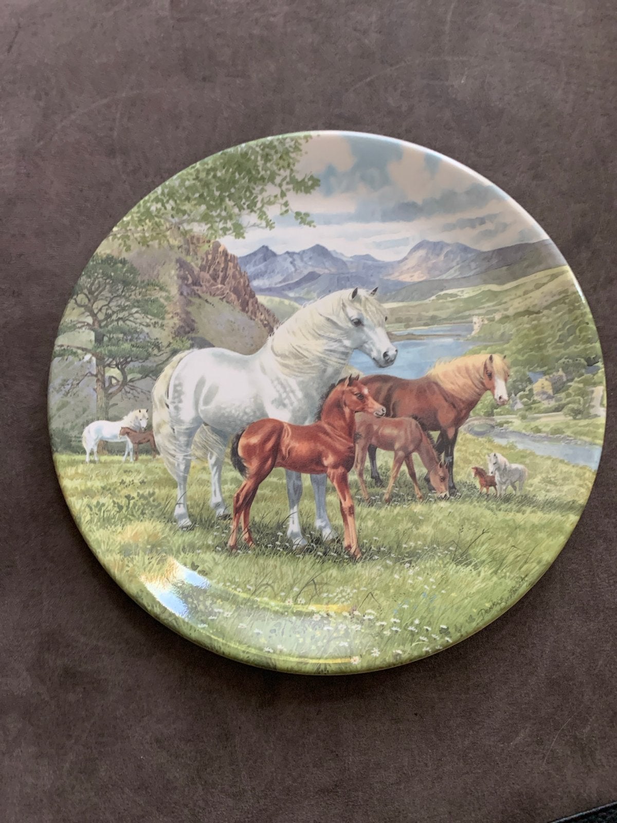 Davenport Limited Edition 'Welsh Mountain Ponies' Bord, Ophalen of Verzenden