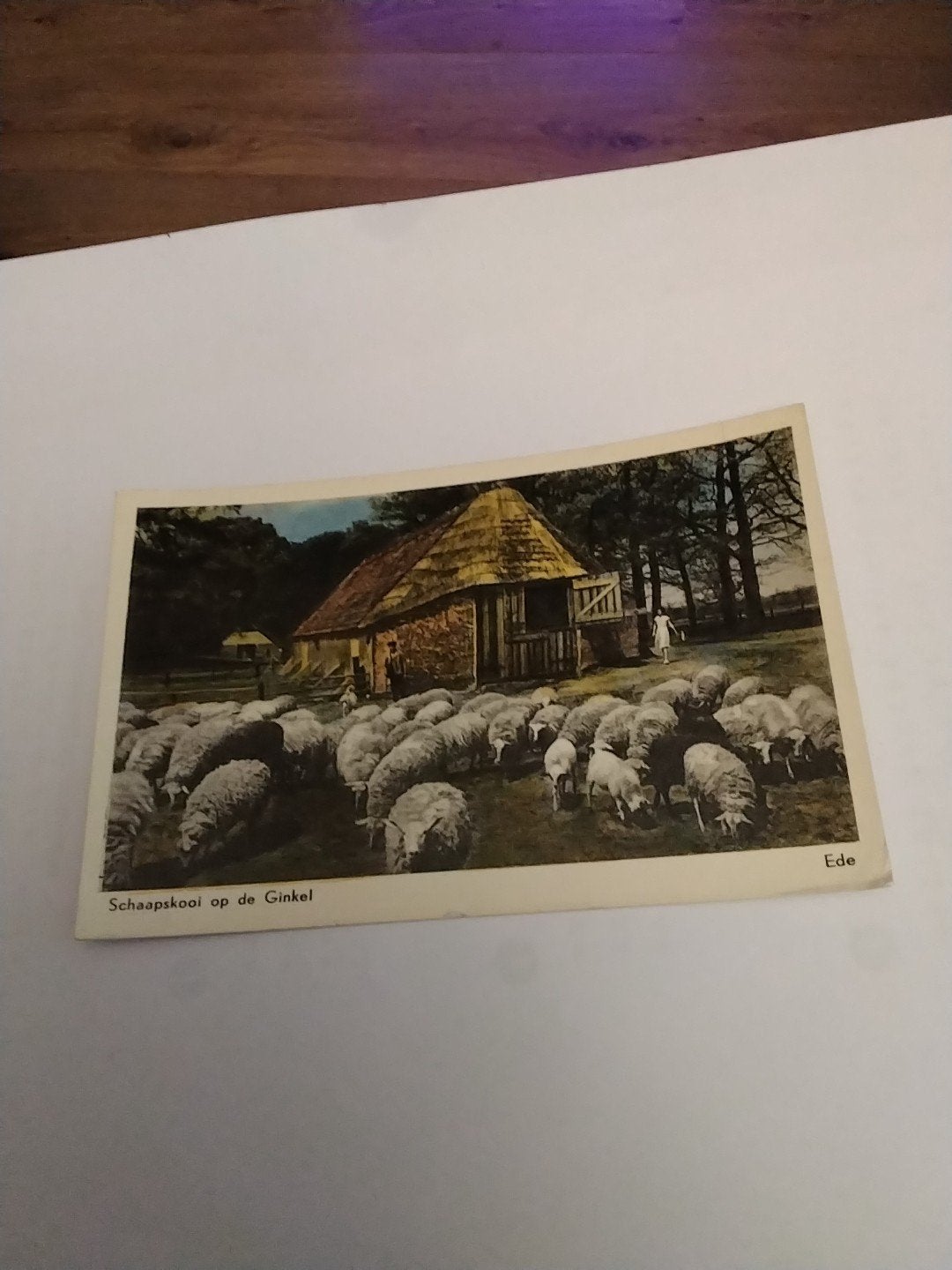 Oude ansichtkaart Schaapskooi op de Ginkel, Ede (1960), Verzamelen, Ophalen of Verzenden, 1940 tot 1960, Gelderland