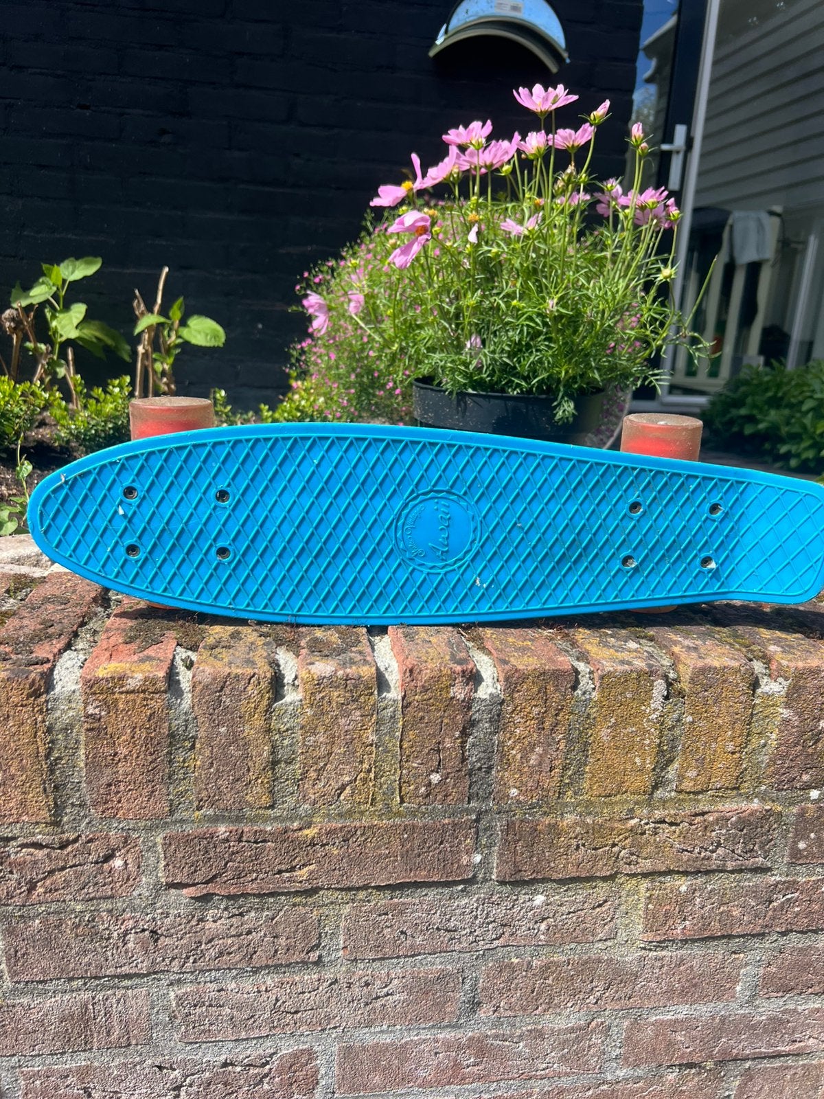 Penny board, Ophalen of Verzenden, Gebruikt, Overige typen