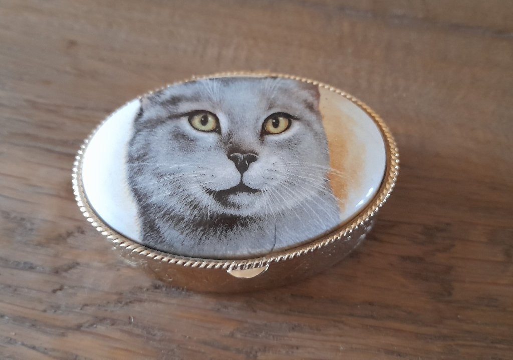 Pillendoosje / sieradendoosje afbeelding kat, Antiek en Kunst, Ophalen of Verzenden