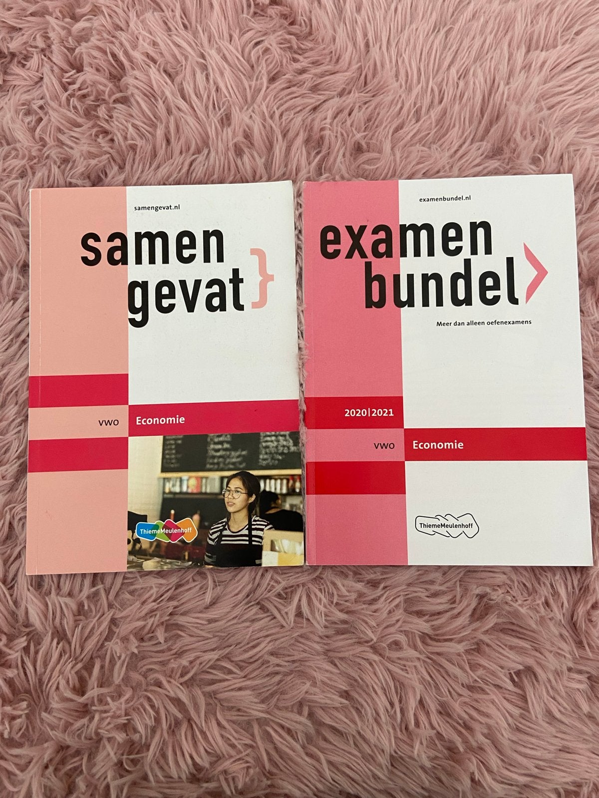 Examenbundel & Samengevat Economie VWO 2020/2021, Boeken, Schoolboeken, Ophalen of Verzenden, Zo goed als nieuw, VWO, Economie