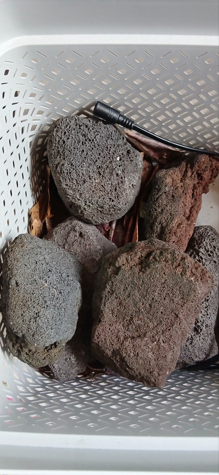 aquarium stenen, Ophalen, Plant(en), Steen of Hout