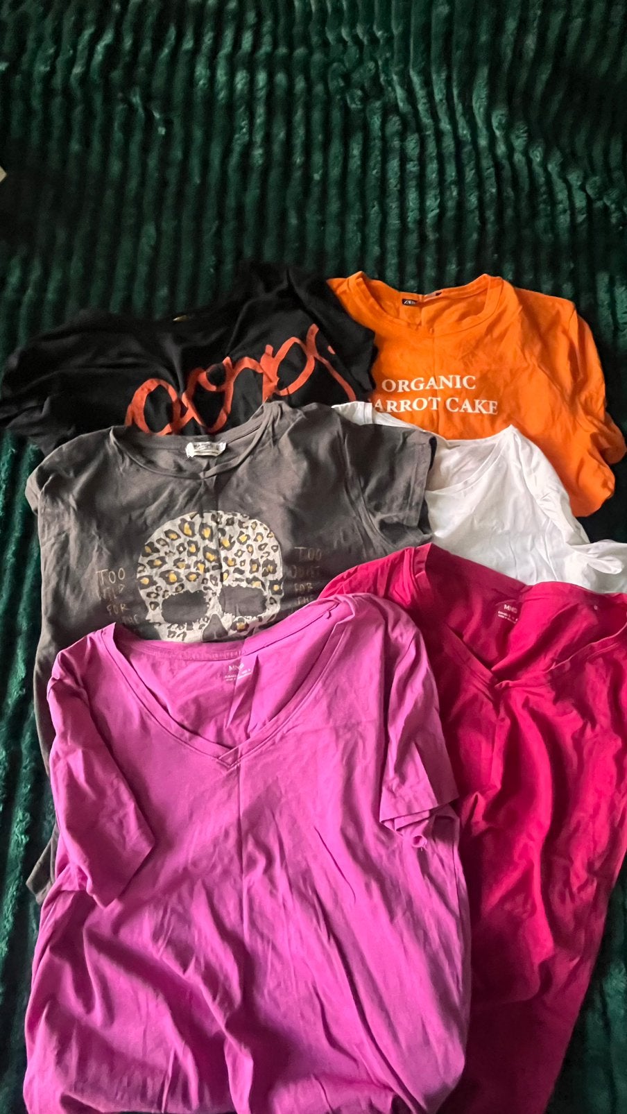 Pakket dameskleding 6 t-shirts maat L, Kleding | Dames, Dames-kledingpakketten, Ophalen of Verzenden, Zo goed als nieuw, Maat 42/44 (L)