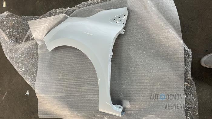 Scherm links-voor van een Renault Clio (OV369), -, Renault, -, Nieuw