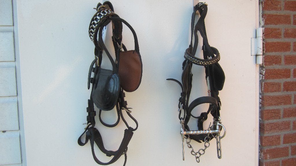 Men hoofdstellen, Ideal Equestrian, Recreatie, Zwart, Hoofdstel