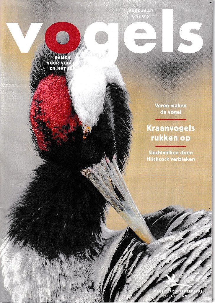 Magazine Vogels (Vogelbescherming), Boeken, Tijdschriften en Kranten, Ophalen, Gelezen, Wetenschap en Natuur