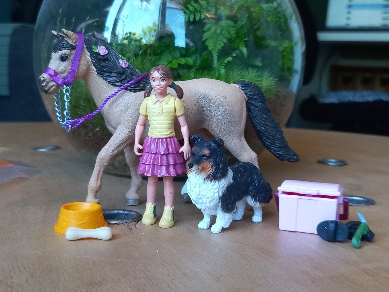 Schleich pony verzorgen