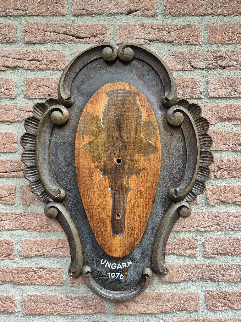 Groot Barok Trofee Schild voor Roodwild/Edelhert 60x45 cm, Ophalen of Verzenden, Gebruikt, Hert, Gewei of Kop