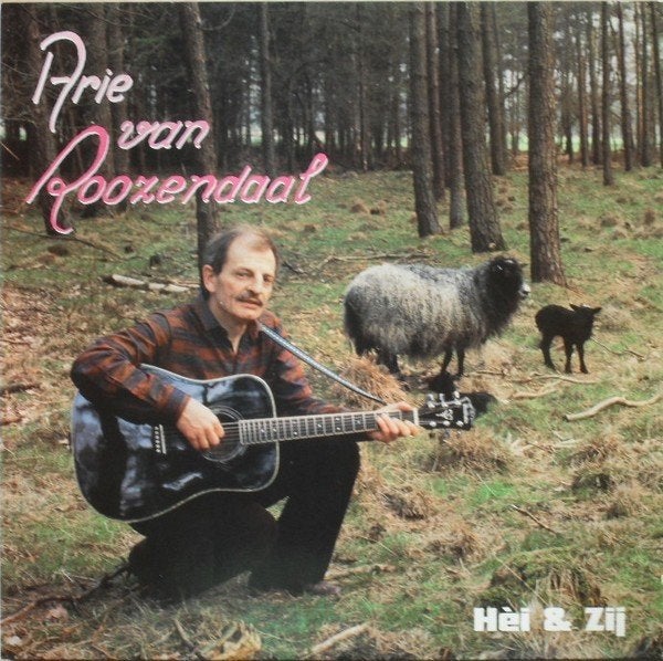 Piraten L.P (1985) Arie van Roozendaal - Hei & Zij, LP, Gebruikt, Ophalen of Verzenden, 12 inch