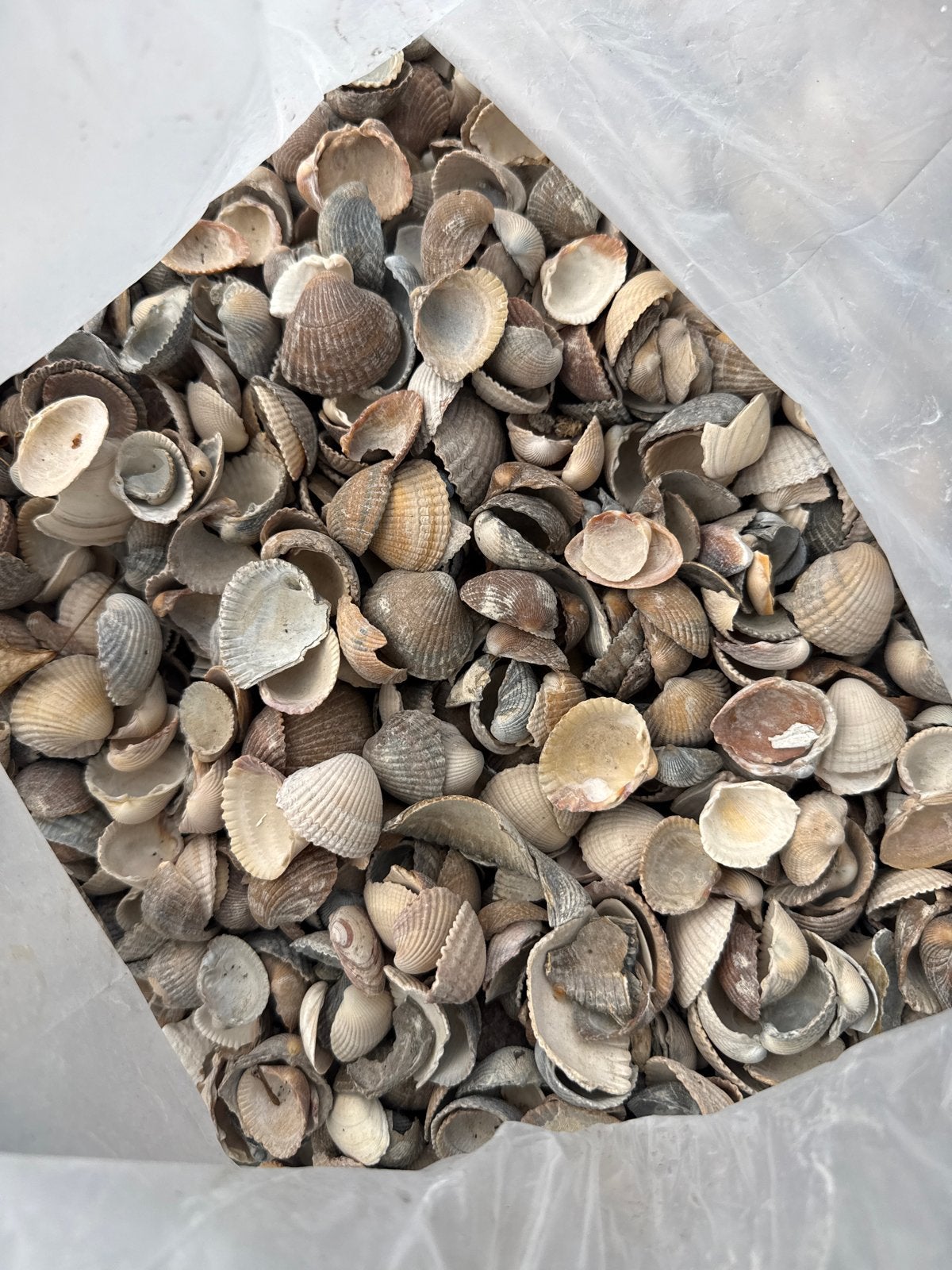 schelpen gewassen per zak, Ophalen, Nieuw