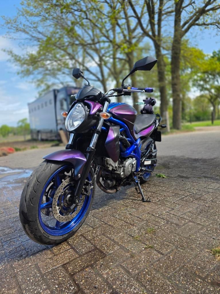 custom suzuki sv650 Gladius, Motoren, Motoren | Suzuki, Bedrijf, Ophalen