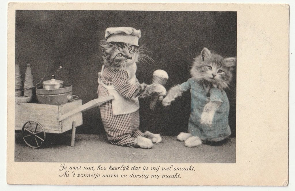 Harry Whittier Frees aangeklede katten als ijs verkoper, Verzamelen, Verzenden, 1920 tot 1940, Gelopen, Hond of Kat