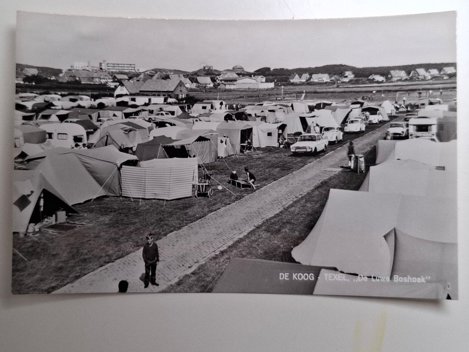 Texel. DE KOOG. " De luwe Boshoek". Jaren 60. Echte foto, Ophalen of Verzenden, 1960 tot 1980, Ongelopen, Waddeneilanden