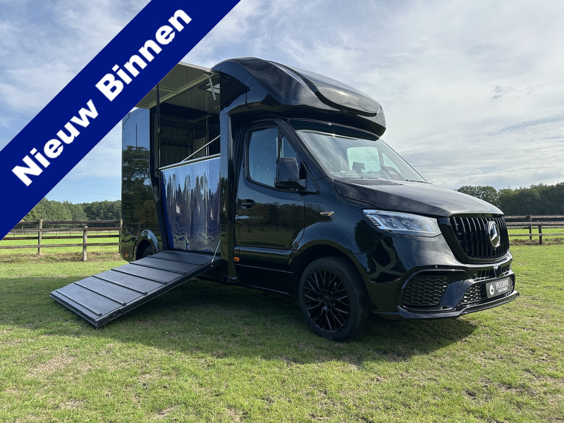 Mercedes-Benz Sprinter 317 AMG 2-paards paardenvrachtwagen B, Dieren en Toebehoren, Gebruikt, Info@hulshof-trading.nl, Overige typen