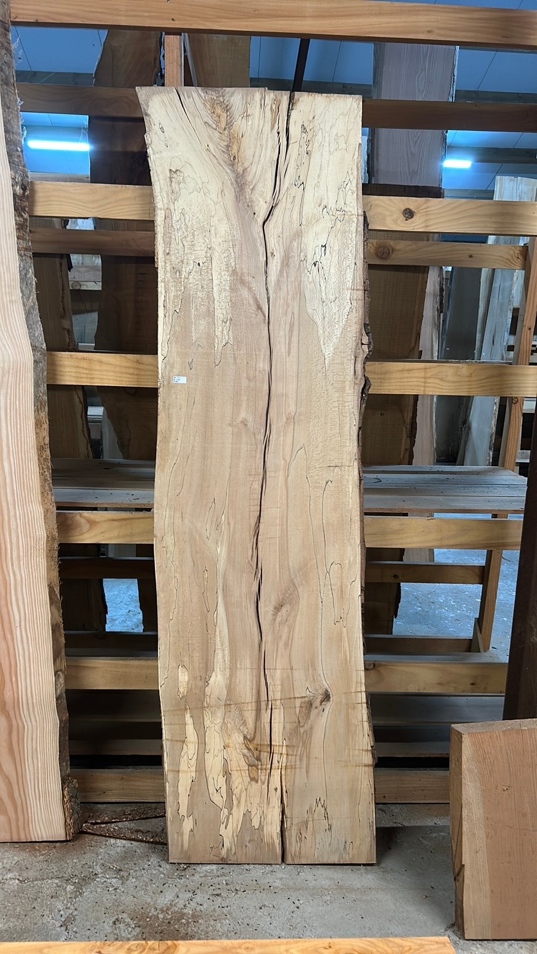 Nr 76/ Boomstamblad Spalted Beuk met slaap ca.5x60x230cm., Ophalen, Zo goed als nieuw, 250 cm of meer, Planken