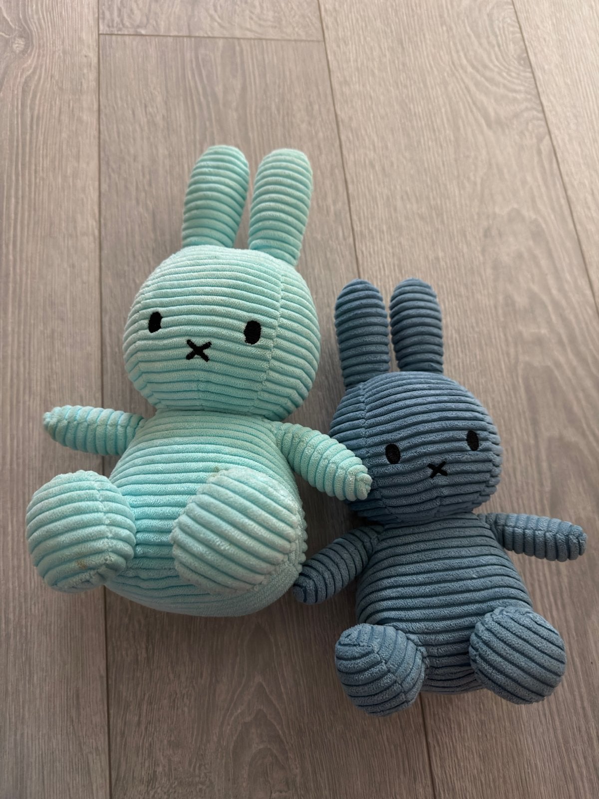 Nijntje knuffels - 2 stuks - blauw en mintgroen, Ophalen, Overige merken, Blauw, Konijn