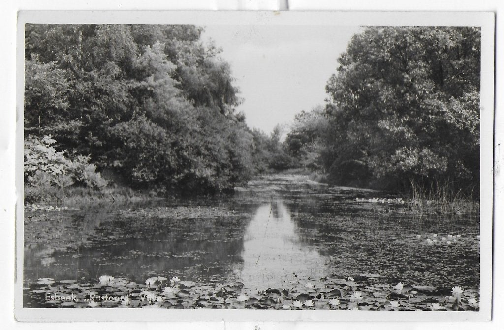 Esbeek Rustoord Vijver gelopen   Ansichtkaart     ( B8434 ), Ophalen of Verzenden, 1940 tot 1960, Gelopen
