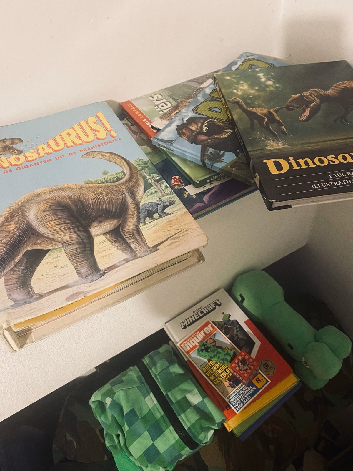 Dinosaurus Boeken & Verzamelband (5 boeken + 26 edities), Ophalen of Verzenden, Gelezen, Non-fictie