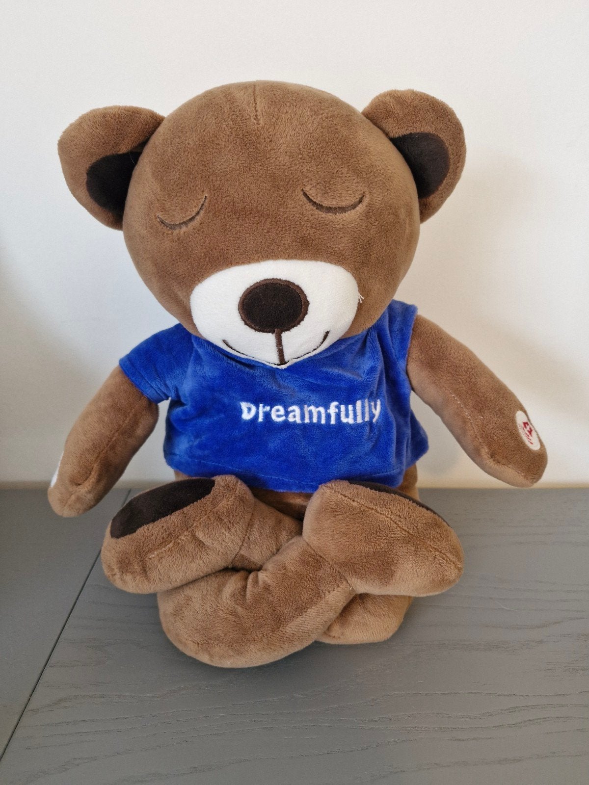 Dreamfully meddy bear meditatie beer, Ophalen of Verzenden, Zo goed als nieuw, Beer